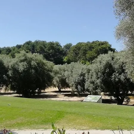 Casa Joleen 1 Apartman